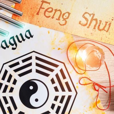 Curso Online Feng Shui - Harmonizando Ambientes